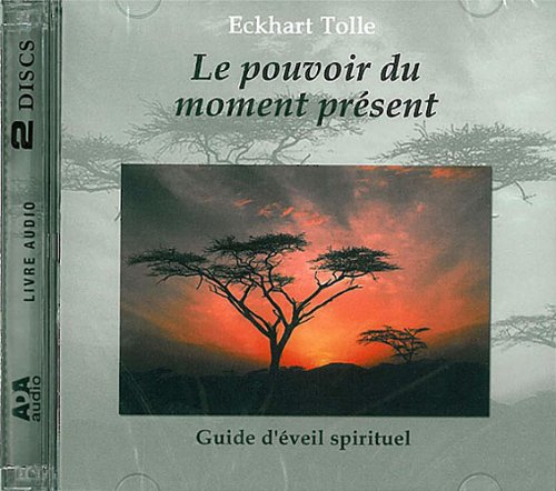 The Power of Now - A Guide to Spiritual Enlightenment (2 CD Audiobook)