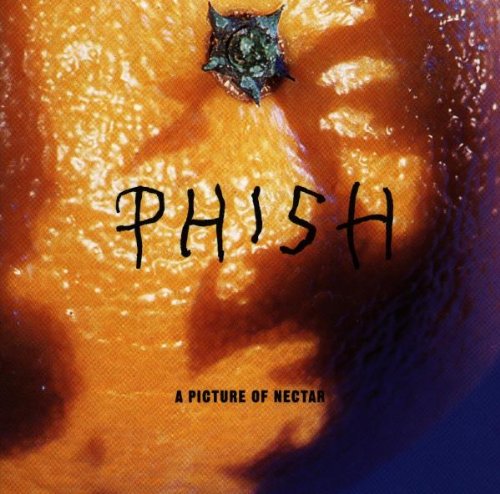 Phish / Picture of Nectar - CD (Used)
