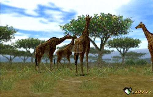 Animal Kingdom: Wildlife Expedition