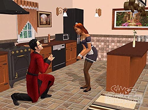 Les Sims 2: Cuisines et alle de bain design (vf - French game-play)