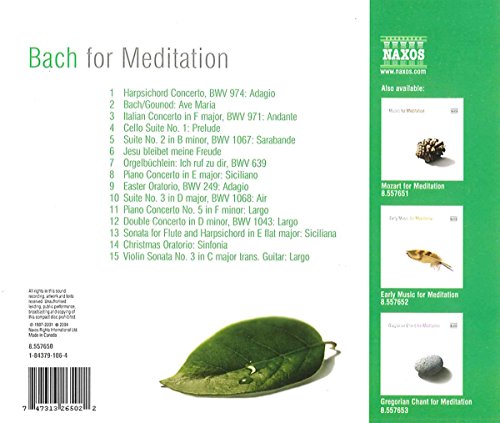 Bach For Meditation