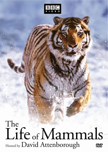 Life of Mammals, The (DVD) (4-Pack) [Import]