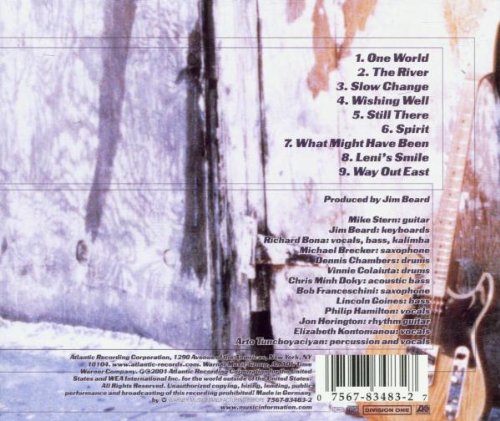 Mike Stern / Voices - CD (Used)