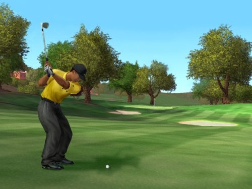 Tiger Woods PGA Tour 2005 (vf)