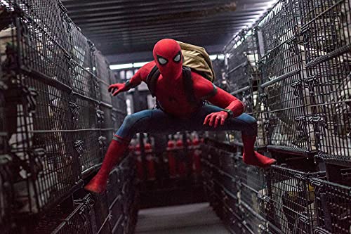 Spider-Man: Homecoming - DVD (Used)
