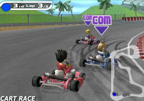 Deca Sports - Wii (Used)
