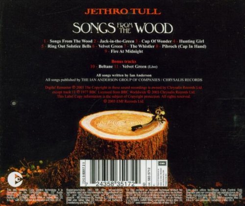 Songs From The Woods