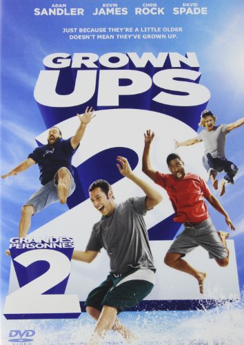 Grown Ups 2 - DVD (Used)