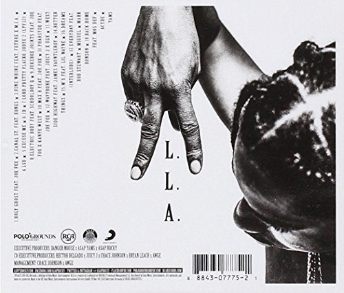 A$AP Rocky / AT.LONG.LAST.A$AP - CD (Used)
