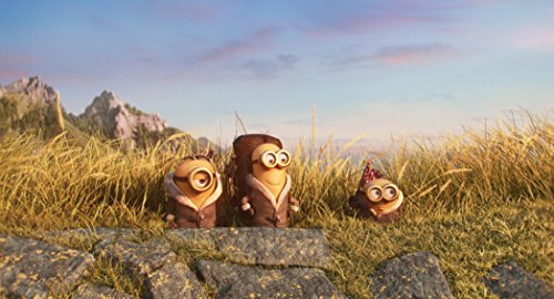 Minions - DVD (Used)