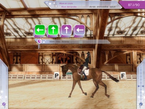 ALEXANDRA LEDERMANN 8 : LES SECRETS DU HARAS