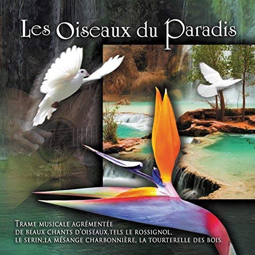 Les oiseaux du paradis