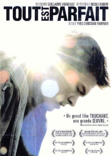 Tout Est Parfait - DVD (Used)