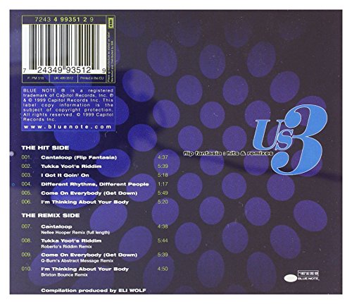 Flip Fantasia: Hits & Remixes