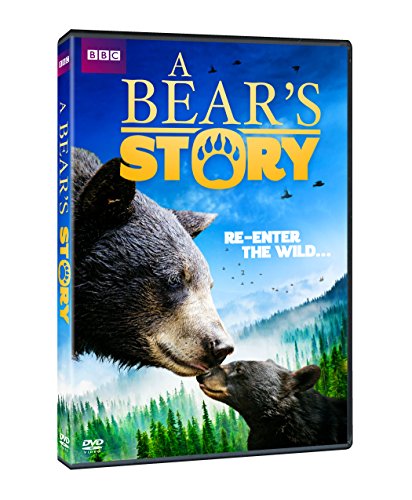 A Bear Story: Spirit's Adventure