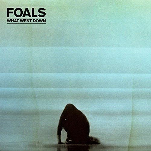 Foals / What Went Down - CD (Used)