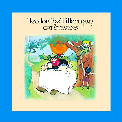 Cat Stevens / Tea For The Tillerman - CD (Occasion)