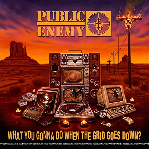 Public Enemy / What You Gonna Do When The Grid Goes Down? - CD