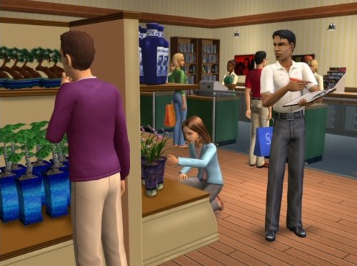 Les Sims 2 : La bonne affaire - Windows