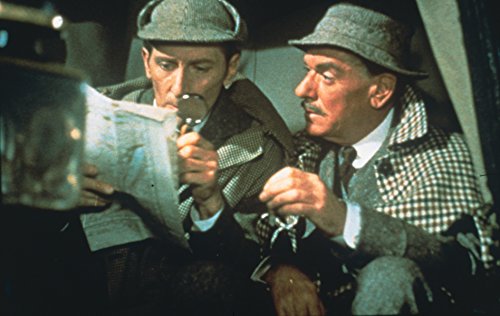 Le chien des Baskerville