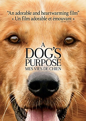 A Dog’s Purpose - DVD