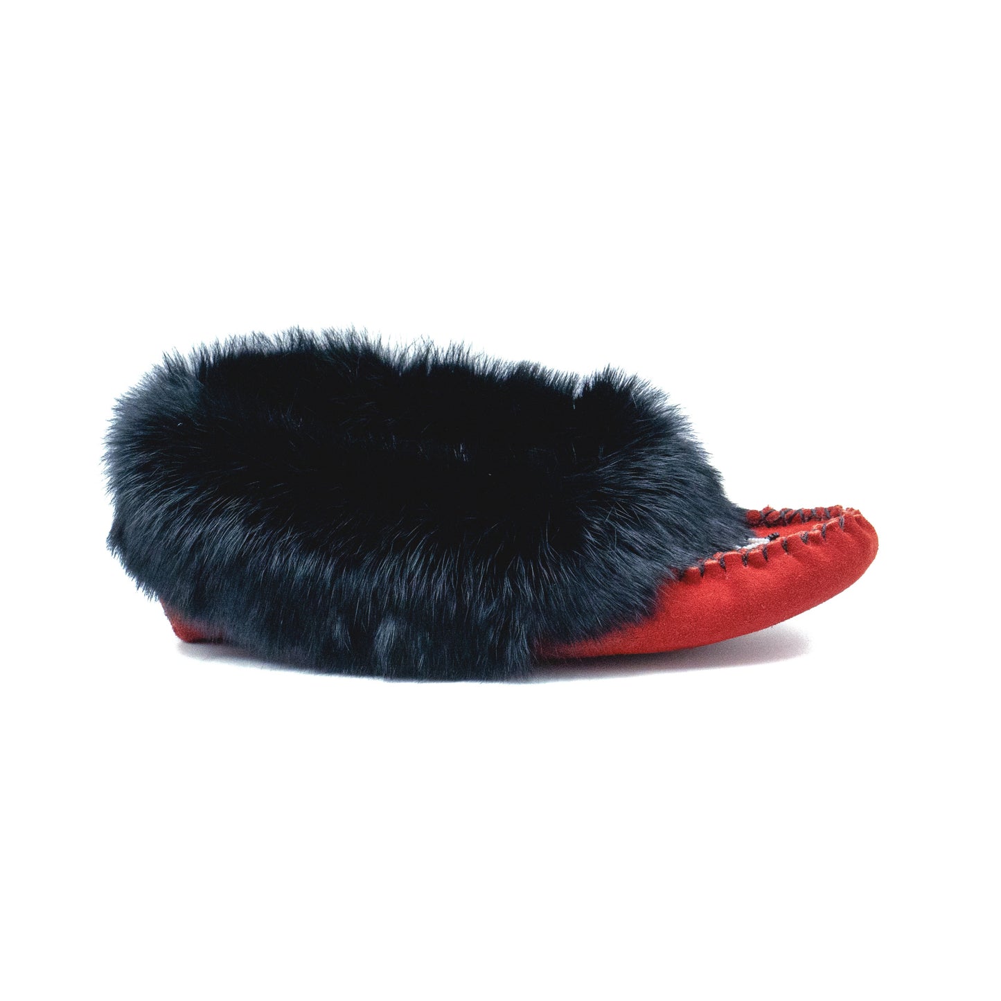 Tänionnienha’ (lapin)