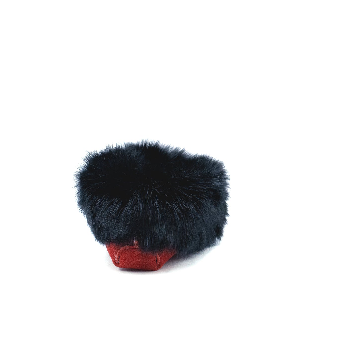 Tänionnienha’ (lapin)