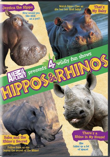 Hippos & Rhinos [Import]