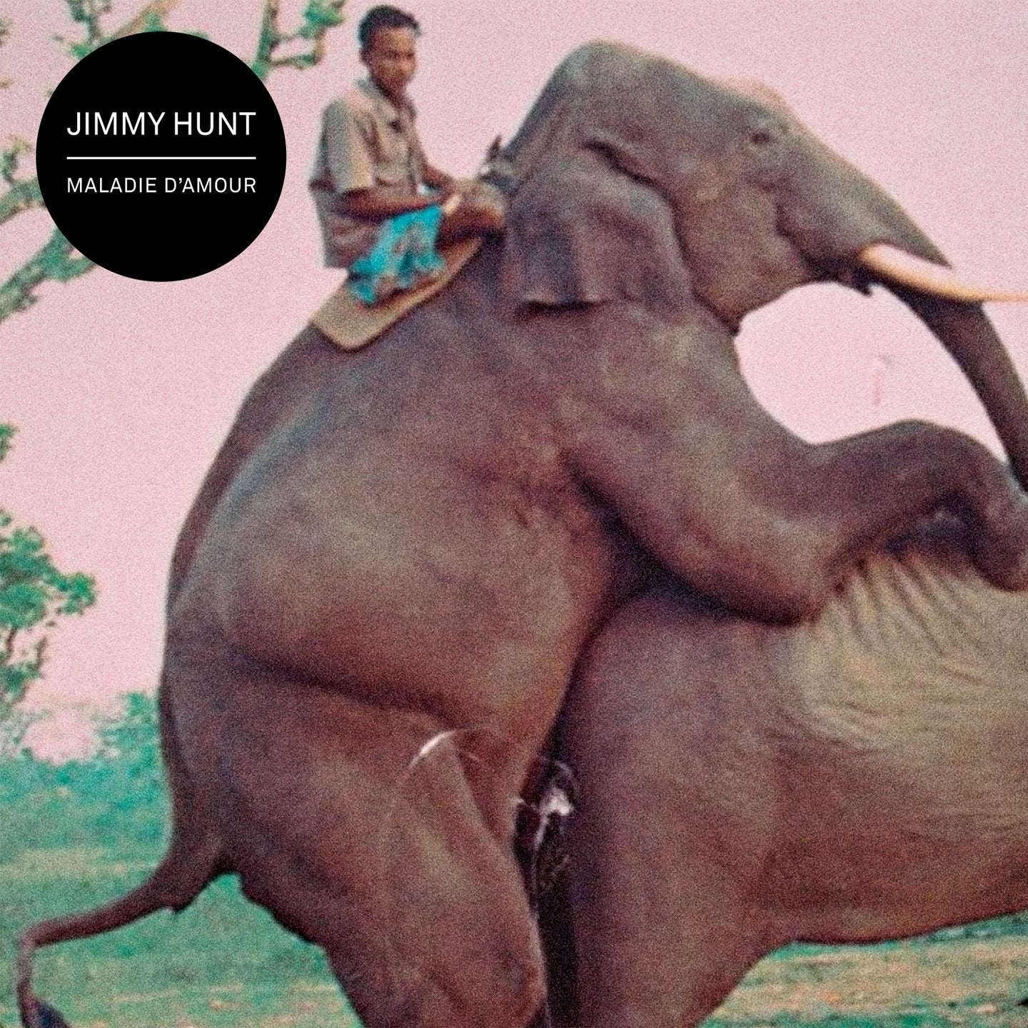 Jimmy Hunt / Maladie d'amour - CD (Used)