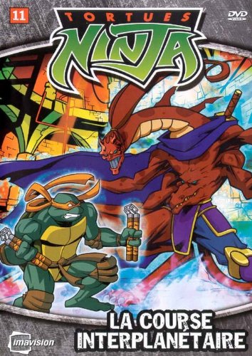 Tortues Ninja / Vol 11 - DVD (Used)