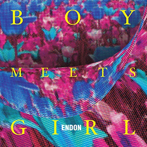 Boy Meets Girl LP