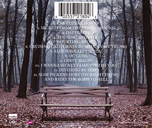 The Offspring / Days Go By (Ex) - CD