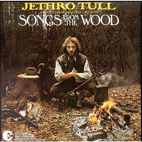 Songs From The Woods