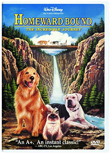 L'Incroyable Voyage - DVD (Occasion)