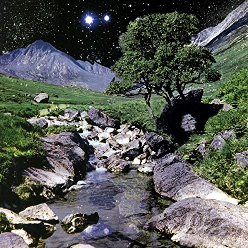 The Beta Band (Vinyl)