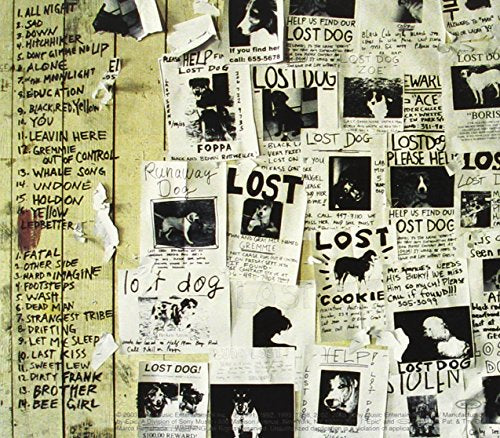Pearl Jam / Lost Dogs - CD (Used)