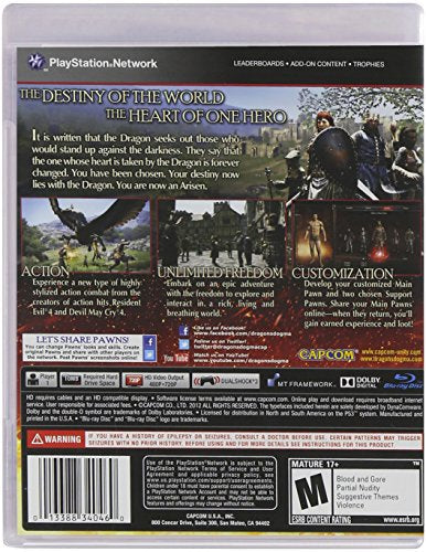 Dragon's Dogma