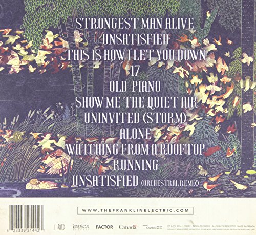 The Franklin Electric / This Is How I Let You Down - CD
