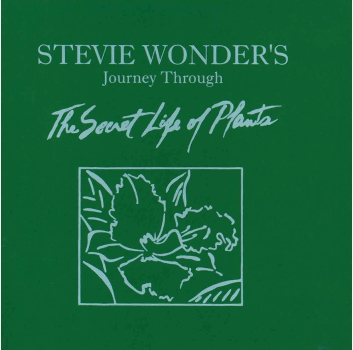 Journey Through The Secret