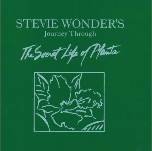 Journey Through The Secret