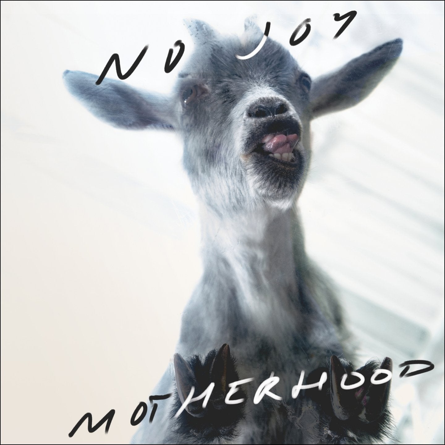 No Joy / Motherhood - CD