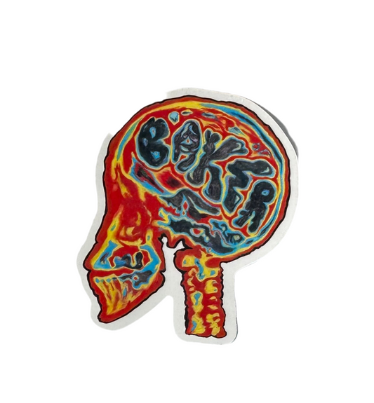Baker 'X-Ray Skull' Sticker - Multi