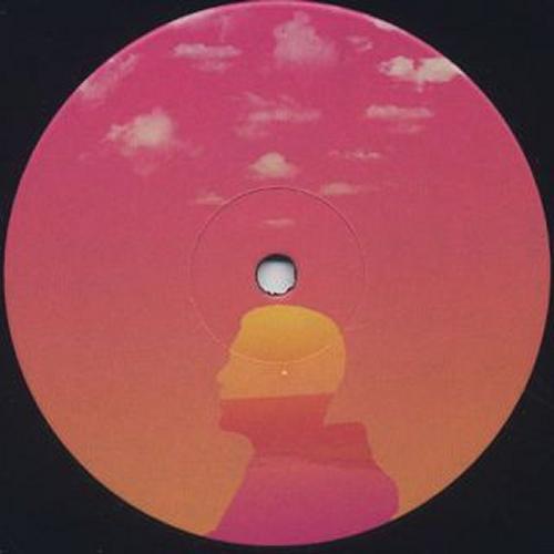 B. Bravo / Paradise Remixes - 12" Vinyl