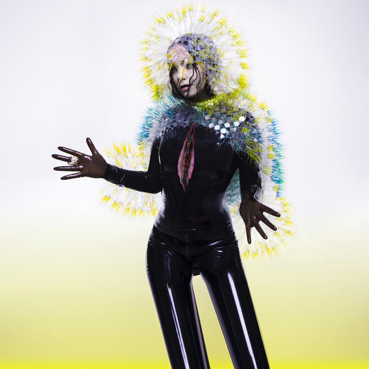 Bjork's Vulnicura