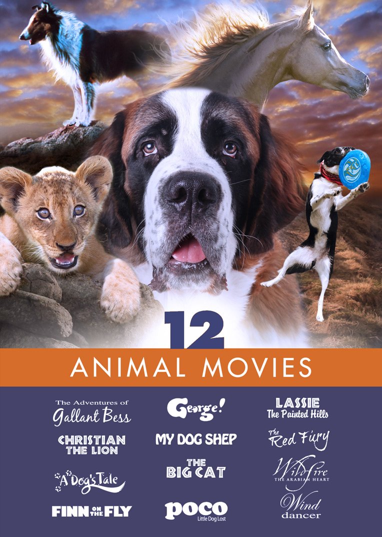 Animal Movies: Family Film - DVD
