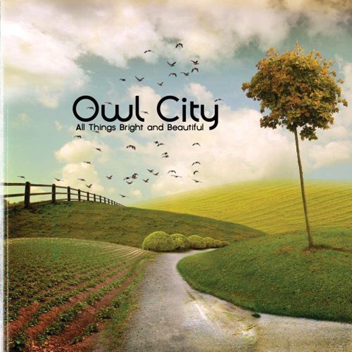 Owl City / All Things Bright And Beautiful - CD (Used)