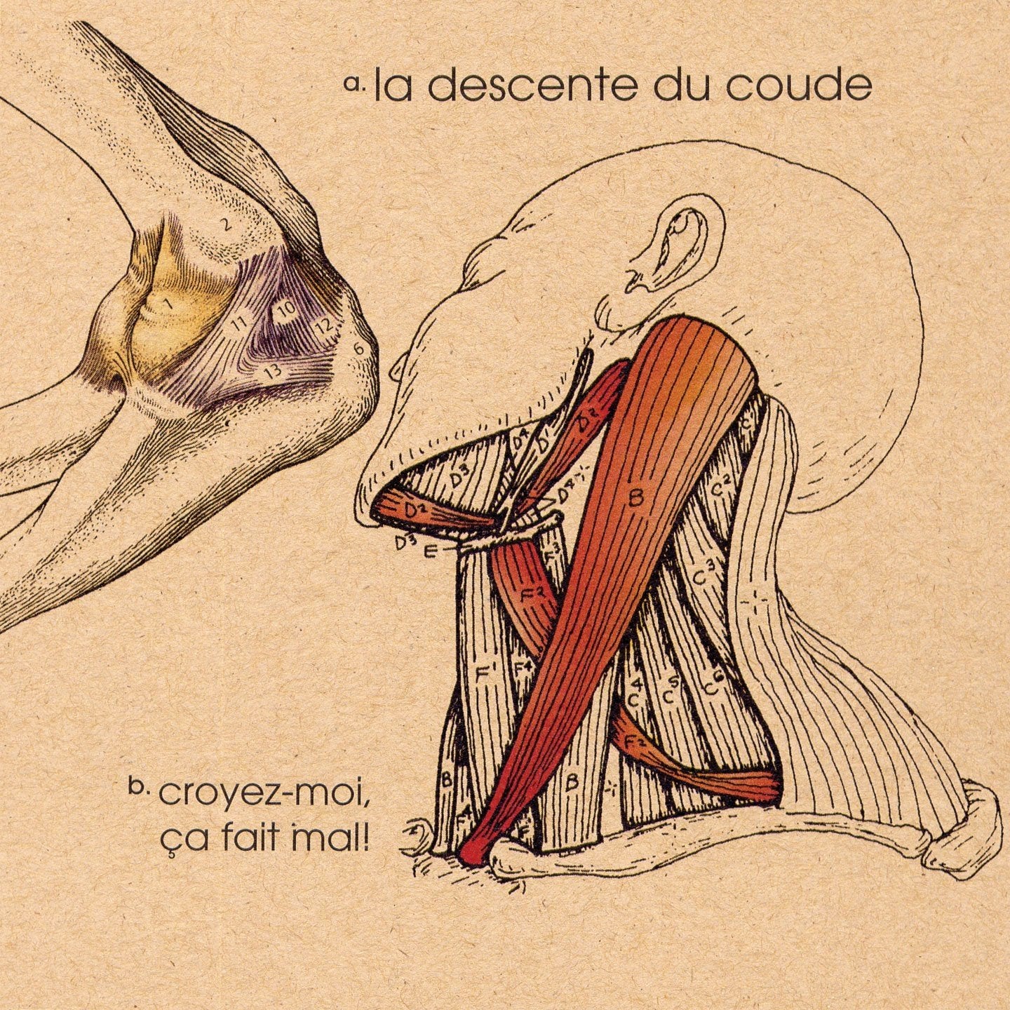 La descente du coude / Croyez-moi, ça fait mal! (EP) - CD
