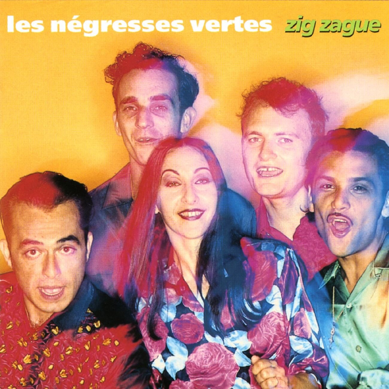 Les Negresses Vertes / Zig-Zague - CD