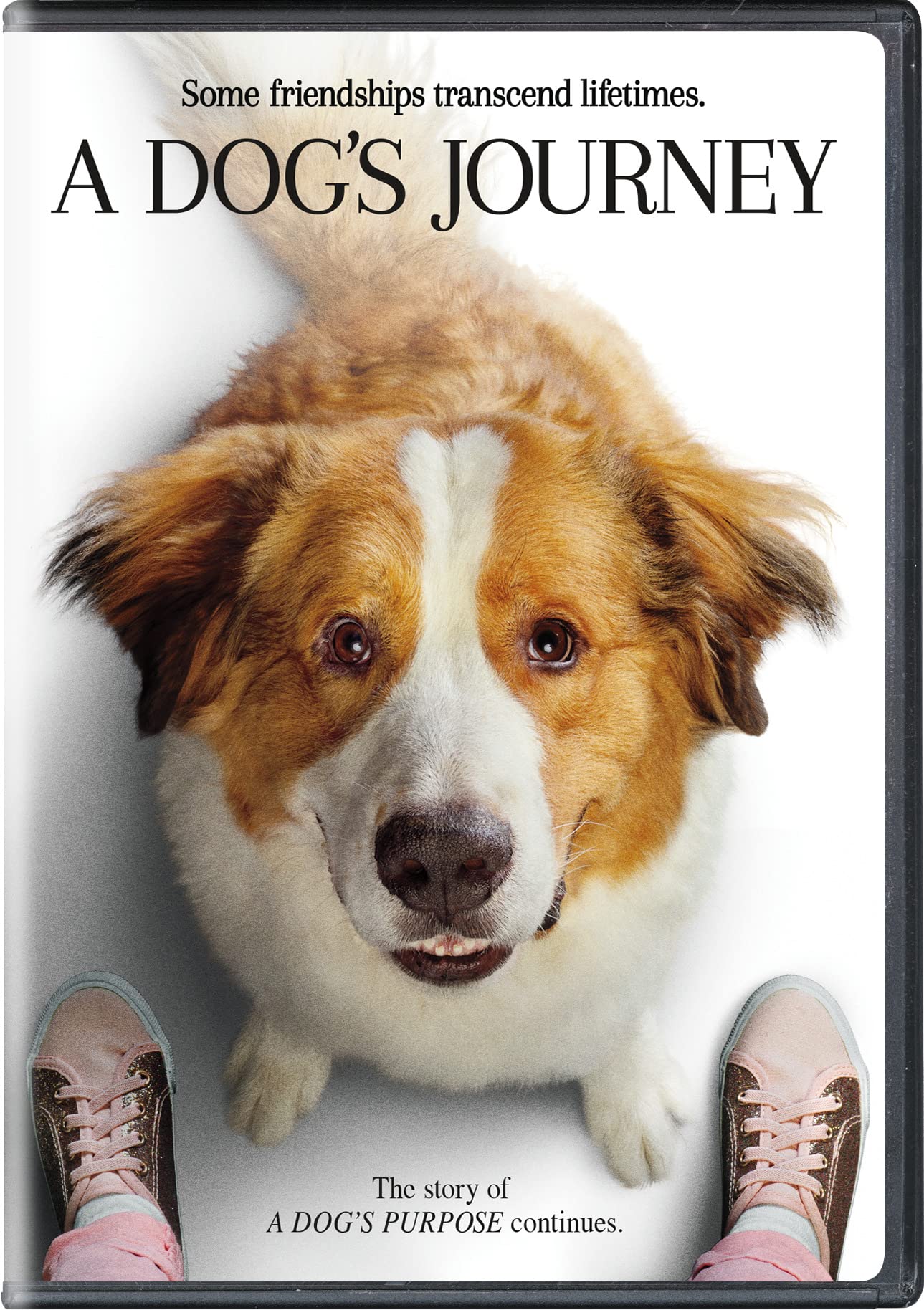 A Dog's Journey - DVD
