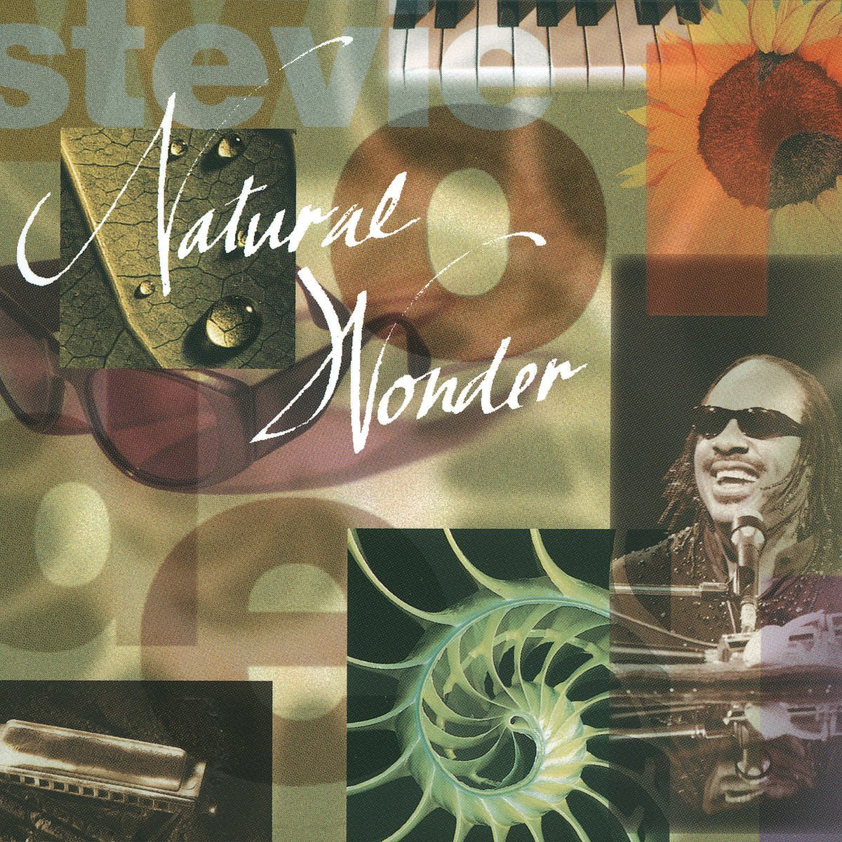 Stevie Wonder / Natural Wonder - CD (Used)